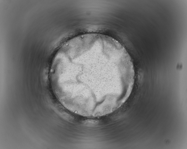 X0000112180691200909041230