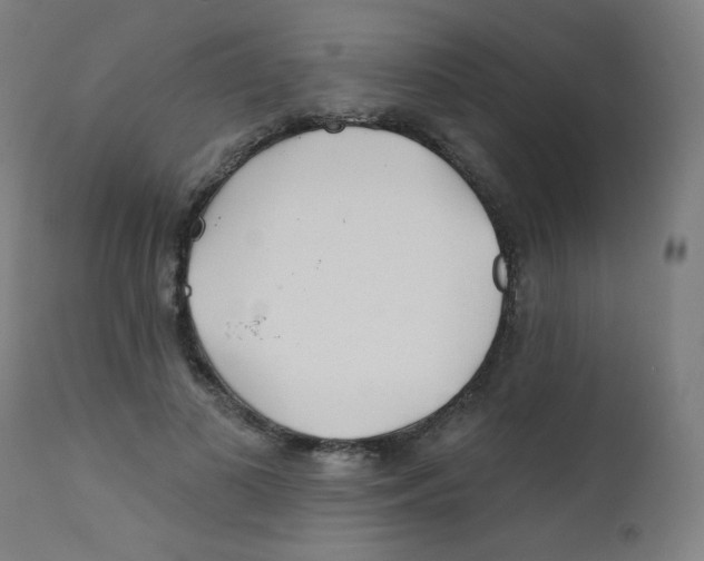 X0000112180693200909041230