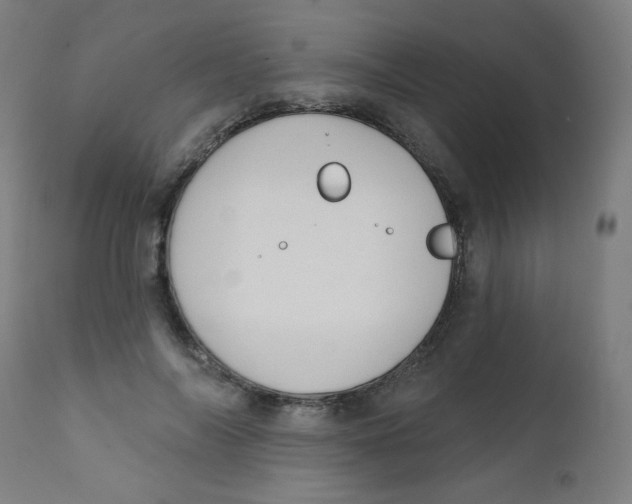 X0000112180694200909041230