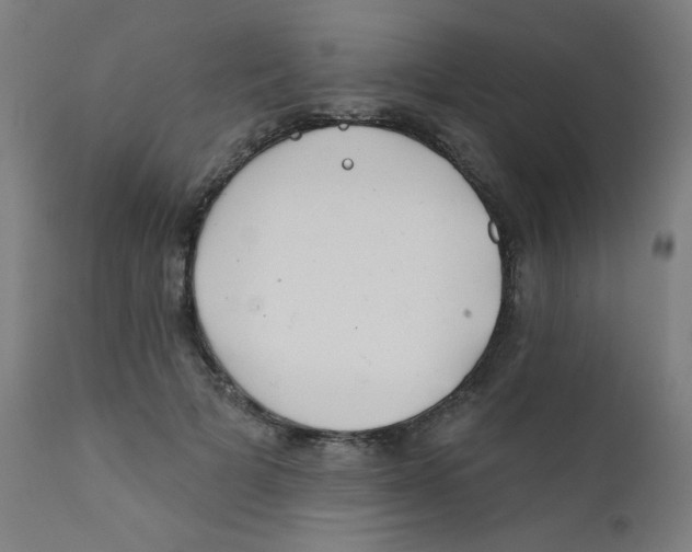 X0000112180697200909041230