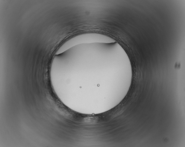 X0000112180700200909041230