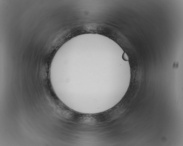 X0000112180702200909041230