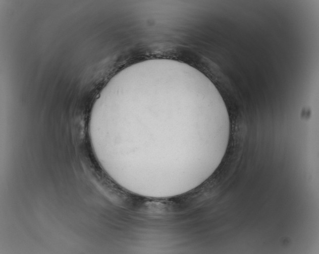 X0000112180703200909041230
