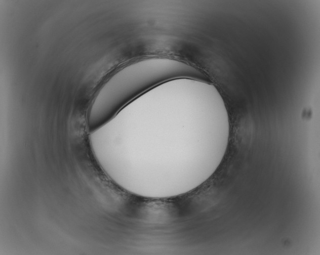 X0000112180708200909041230