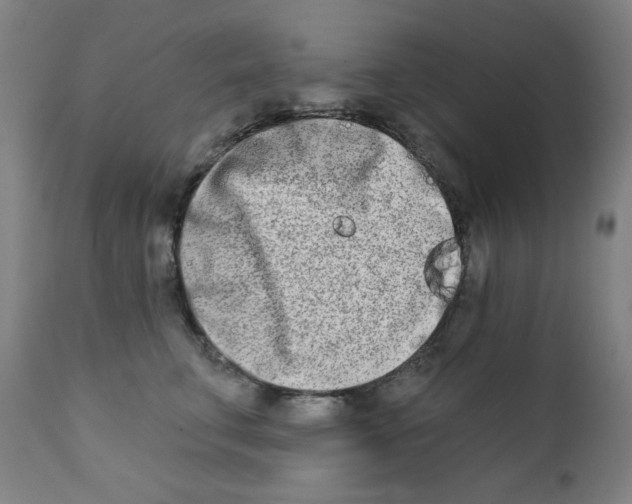 X0000112180711200909041230