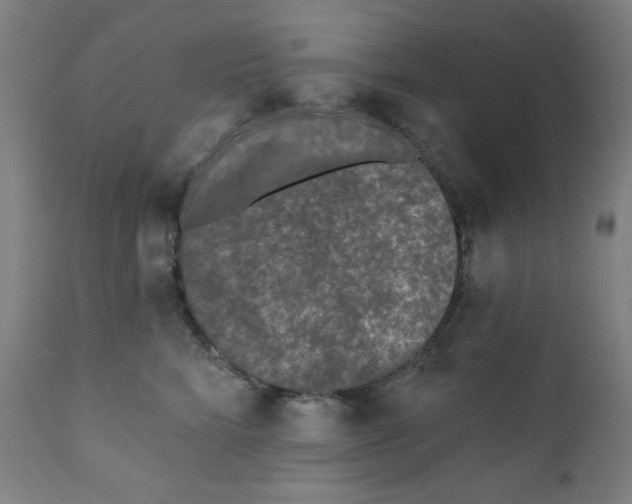 X0000112180712200909041230