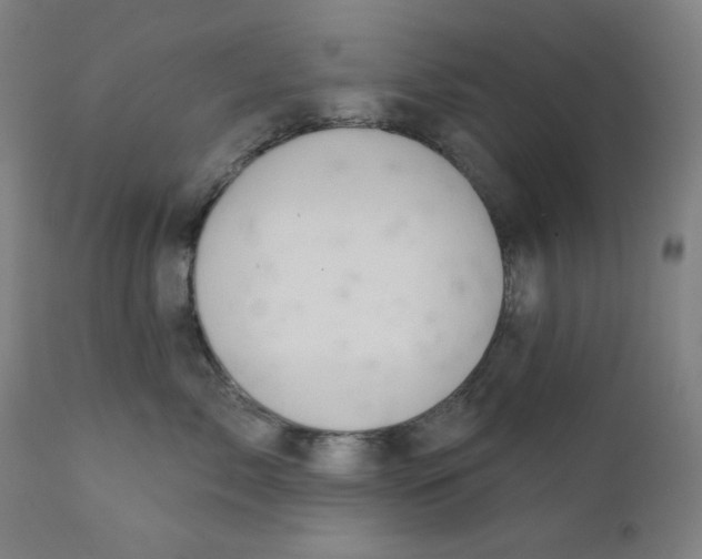 X0000112180717200909041230