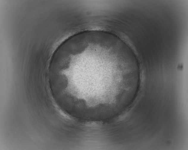 X0000112180721200909041229