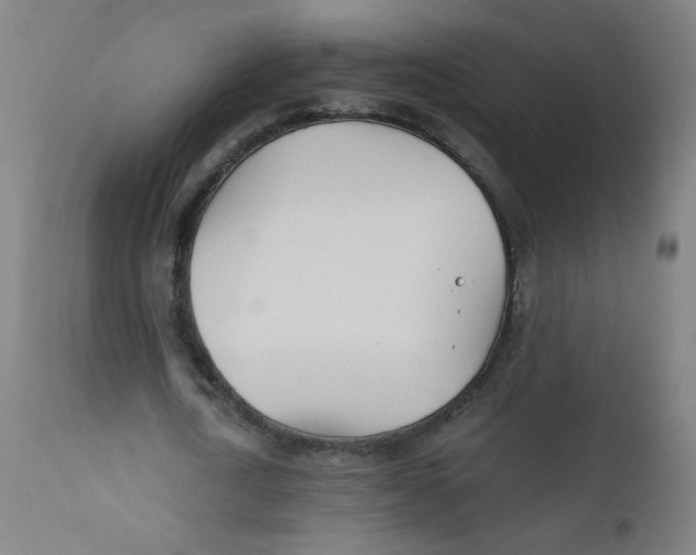 X0000112180722200909041229