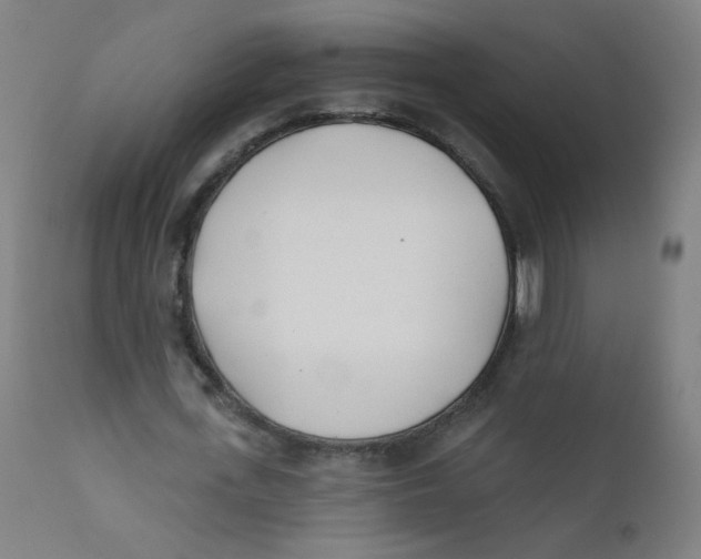 X0000112180723200909041229
