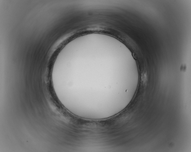 X0000112180724200909041229