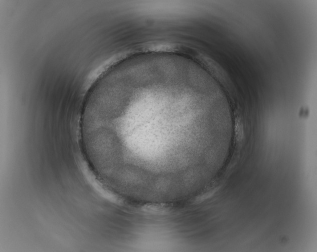 X0000112180725200909041229