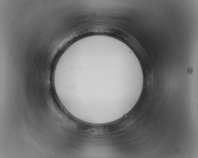 X0000112180727200909041229