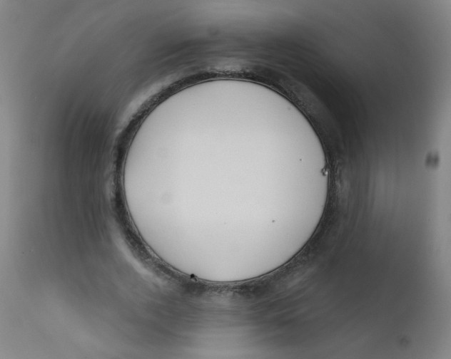 X0000112180728200909041229