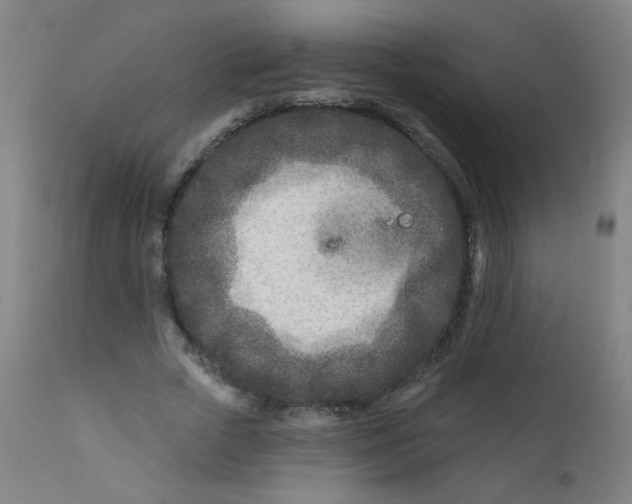 X0000112180729200909041229