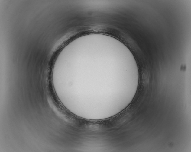 X0000112180730200909041229
