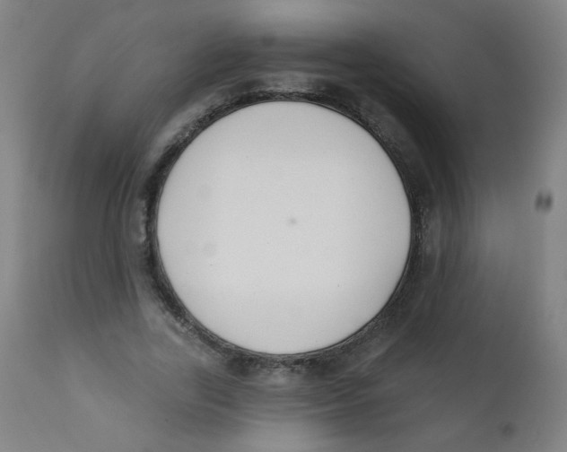 X0000112180731200909041229