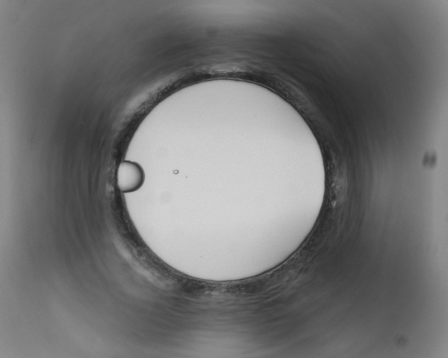 X0000112180732200909041229