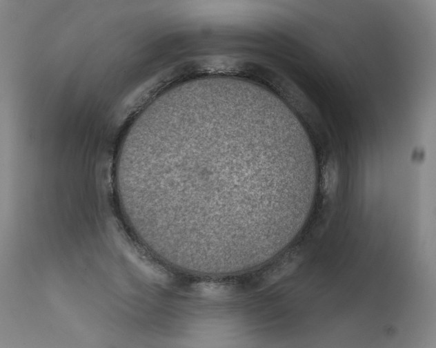 X0000112180733200909041229