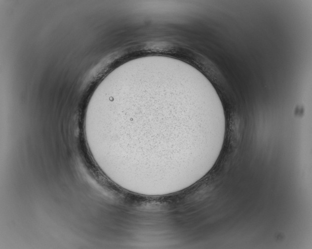X0000112180734200909041229