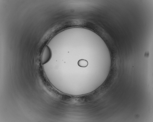 X0000112180736200909041229