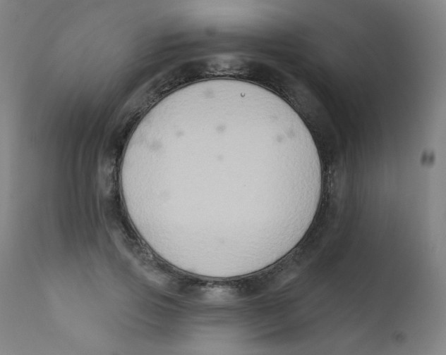 X0000112180741200909041229