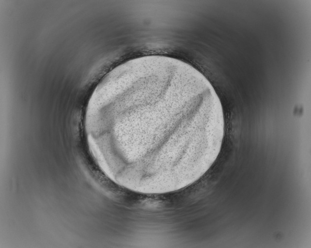 X0000112180742200909041229