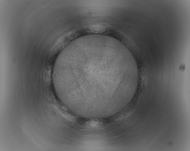 X0000112180745200909041229