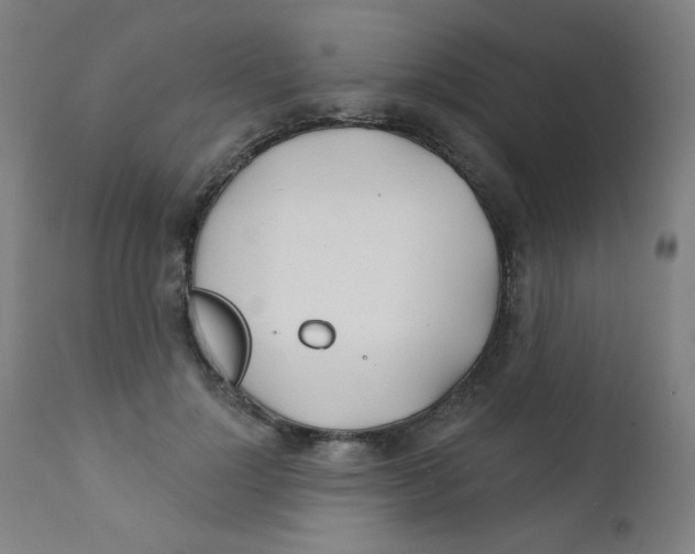 X0000112180748200909041229