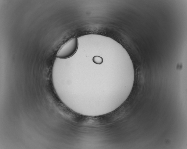 X0000112180750200909041229