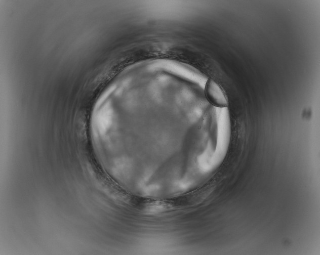 X0000112180754200909041230
