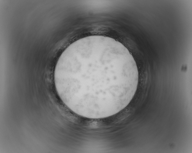X0000112180755200909041230