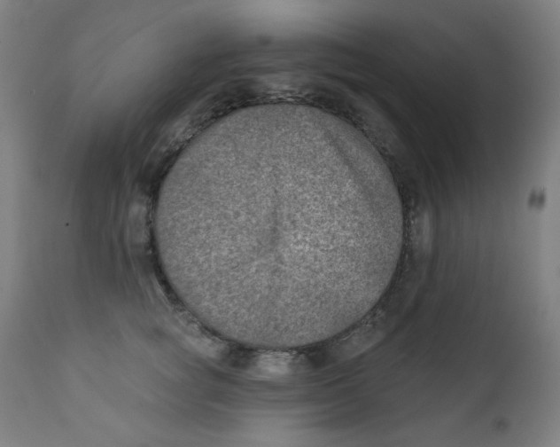 X0000112180757200909041230