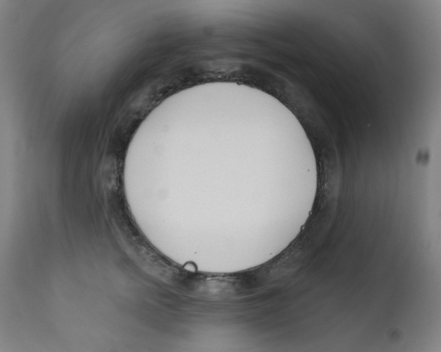 X0000112180758200909041230
