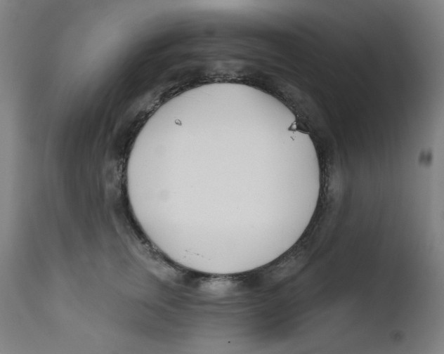 X0000112180759200909041230