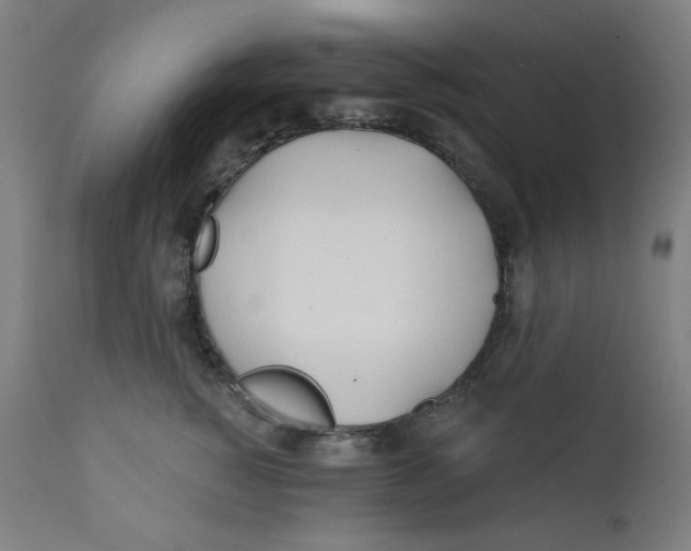 X0000112180760200909041230