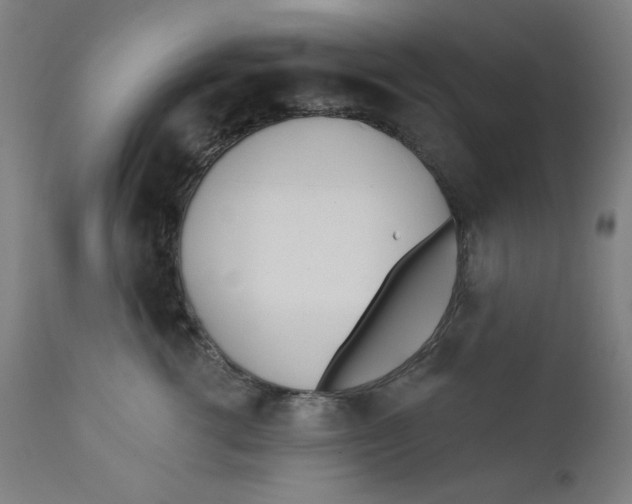 X0000112180762200909041230
