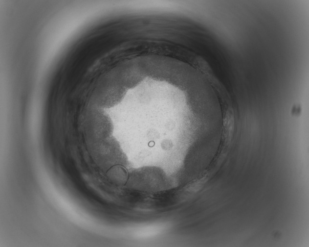 X0000112180765200909041230