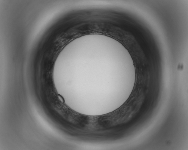 X0000112180766200909041230