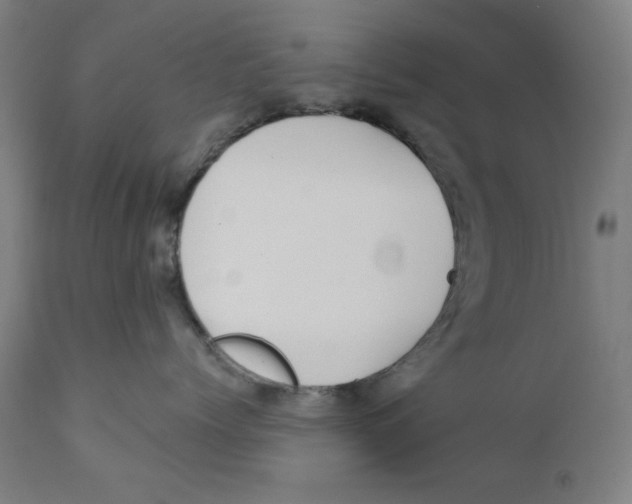 X0000112180768200909041230
