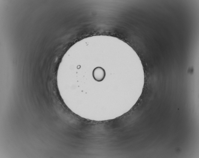 X0000112180769200909041229