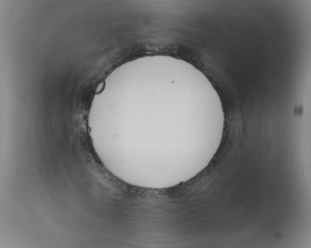 X0000112180770200909041229