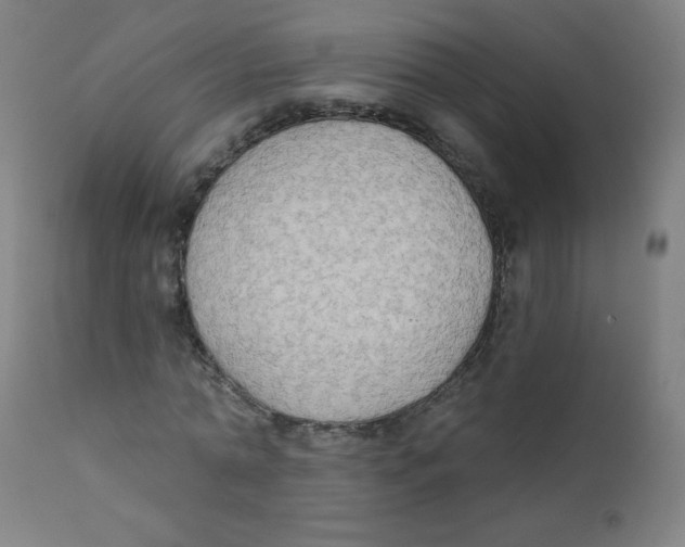 X0000112180774200909041229