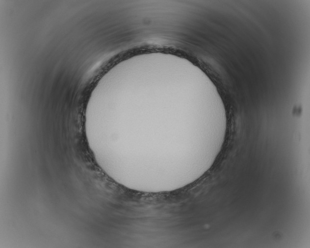 X0000112180776200909041229
