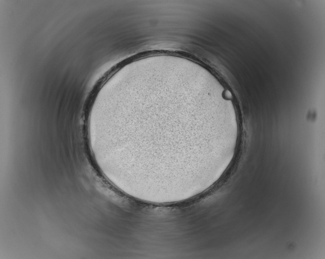 X0000112180779200909041229