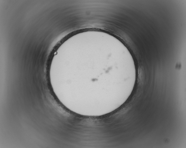 X0000112180780200909041229