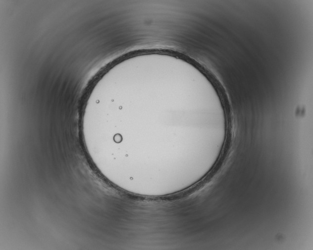 X0000112180781200909041229