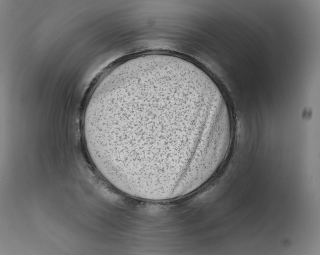 X0000112180782200909041229