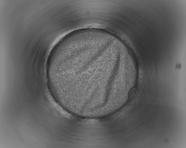 X0000112180784200909041229