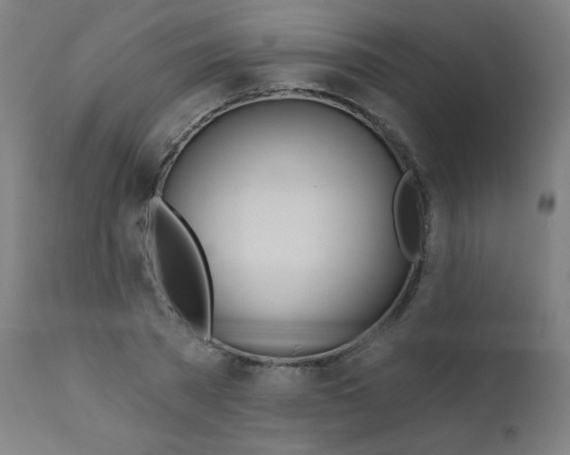 X0000112180785200909041229